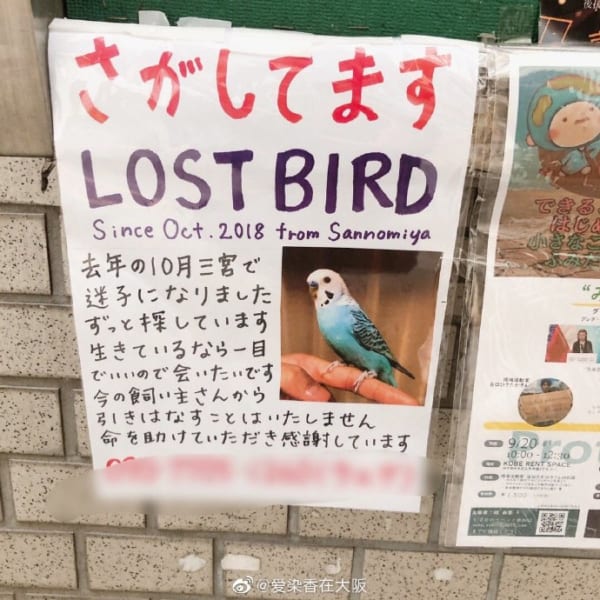 【中国の反応】『探しています』張り紙に中国人「同情しちゃう」 2ろぐちゃんねる5chまとめブログ